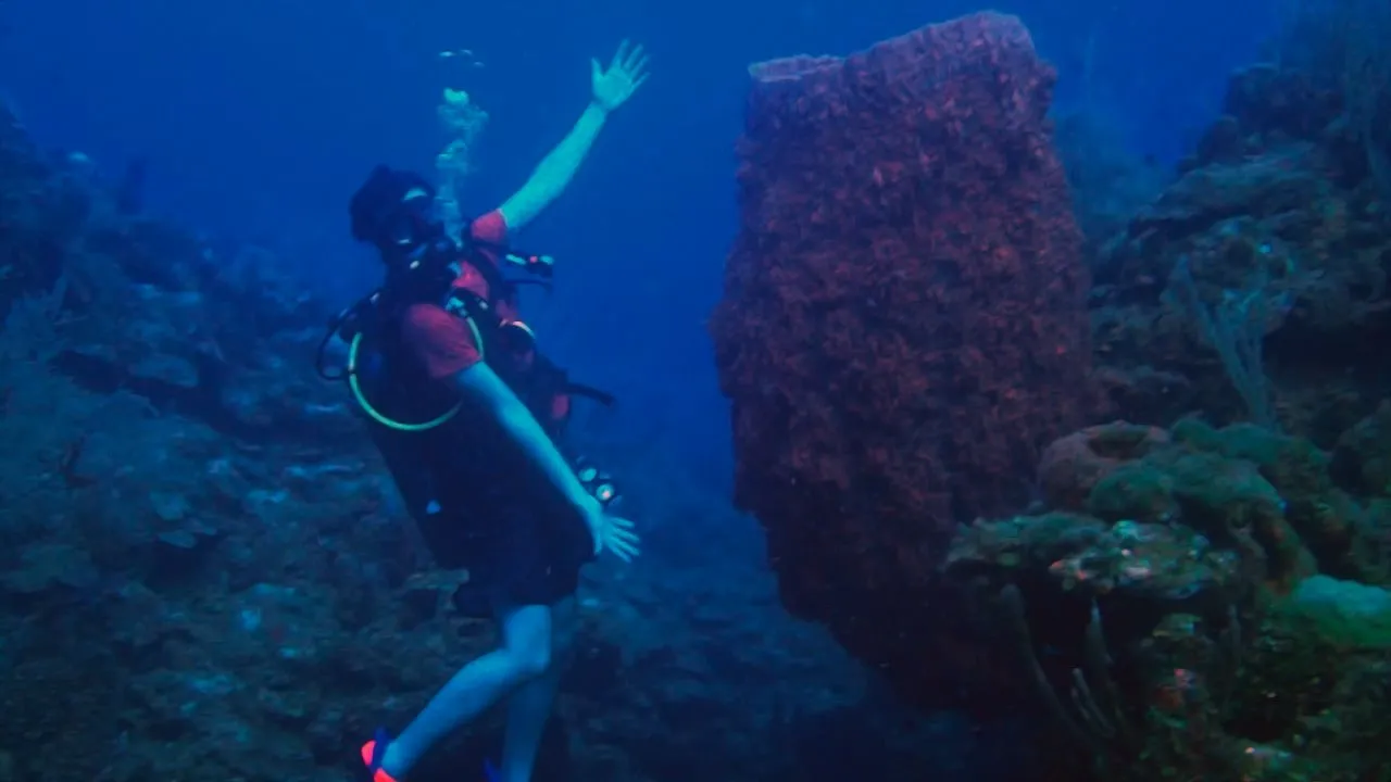 Una buceadora explorando junto a una pared de coral